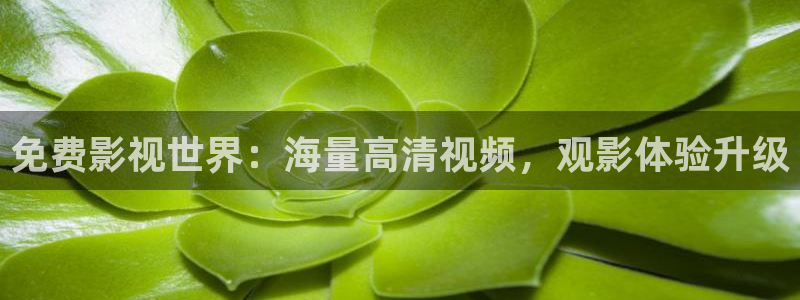 777玖玖资源视频：免费影视世界：海量高清视频，观影体验升级