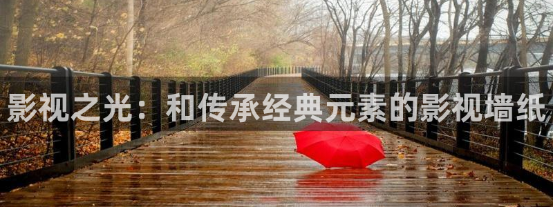 玖玖爱精品视频：影视之光：和传承经典元素的影视墙纸