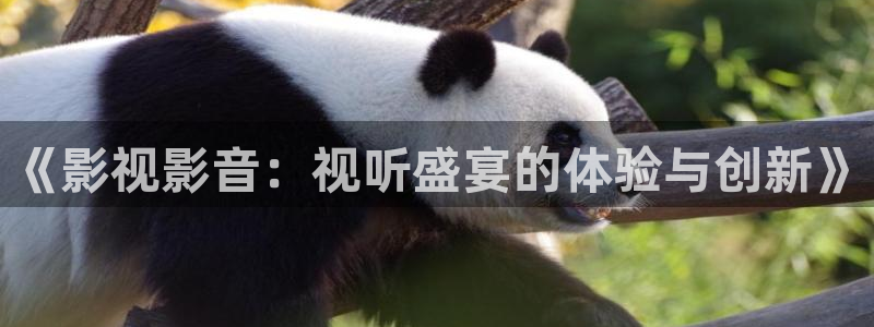 玖玖每天在线播放