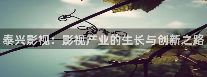 国产玖玖精品视频：泰兴影视：影视产业的生长与创新之路