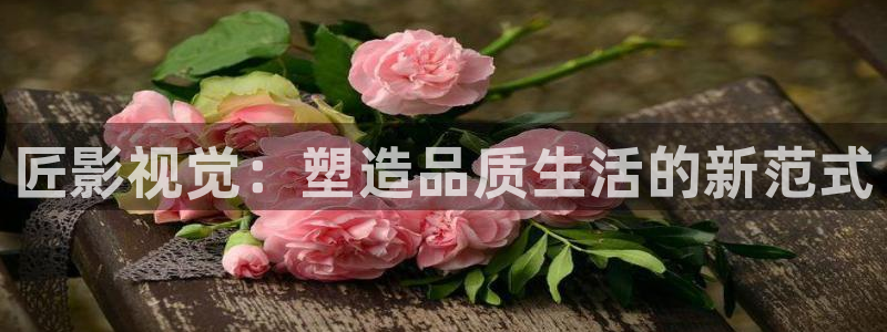 玖玖玖精品视频：匠影视觉：塑造品质生活的新范式