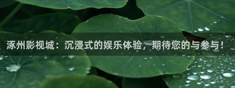 玖玖资源视频在线观看：涿州影视城：沉浸式的娱乐体验，期待您的与参与！
