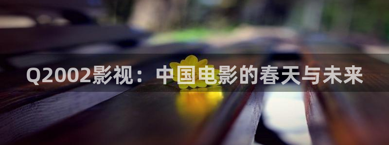 日本玖玖视频：Q2002影视：中国电影的春天与未来