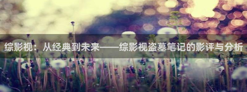 玖玖玖玖影院：综影视：从经典到未来——综影视盗墓笔记的影评与分析