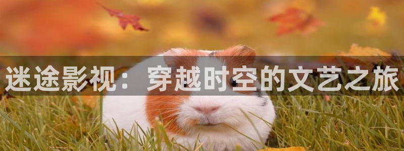 玖玖色视频网站：迷途影视：穿越时空的文艺之旅